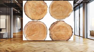 Set of pine wood cross section isolated on white Wall mural