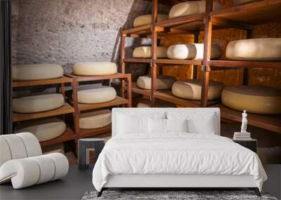 Many Cheese on shelves in a refining cellar in a dairy. Cheese producing and ripening. Wall mural