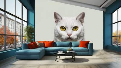 Close-up of a white cat's face with yellow eyes looking at the camera. Wall mural