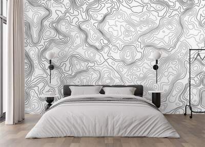 Abstract white topography vector background.  Line topography map design. The concept of conditional geographical pattern and topography.  Wall mural