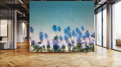 paradise beach with kayak, aerial landscape of beautiful tropical sea and palm trees, top down view from drone Wall mural