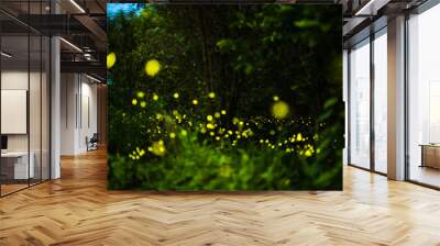 Firefly flying in the night forest Wall mural