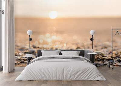 Sea shell on beach in the sunrise Wall mural