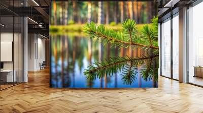 Reflected pine twig on pine forest and sky background Wall mural