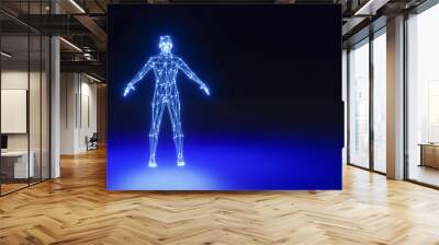 Wireframe 3D Man Body Geometry with dots, 3d rendering Wall mural