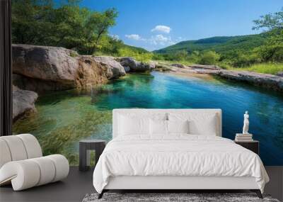 A natural spring with mineral water flowing over rocks, surrounded by lush vegetation Wall mural