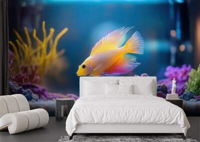 Colorful aquarium setup with exotic fish and modern equipment, pet business for aquatics Wall mural