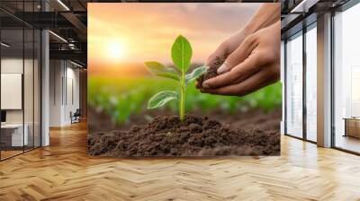 Farmer checking soil quality with eco-friendly tools, sustainable agriculture Wall mural