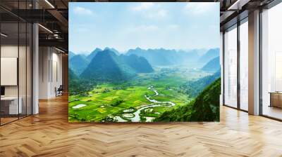 bac son rice field Wall mural