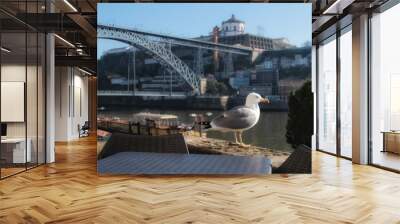 Seagulls sunbathing and resting on the banks of the Douro River Wall mural