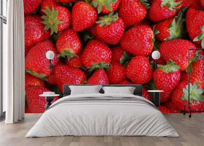 fraises 2 Wall mural