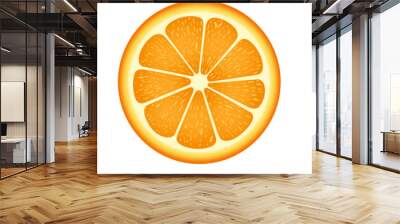 Citrus fruit slices
 Wall mural