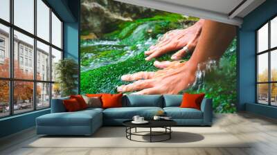 Tanned female hands stroke green moss growing in the clear and transparent water of a mountain river. Wall mural