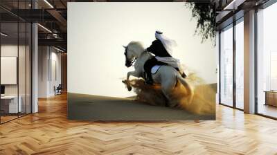 arabian horse and rider Wall mural