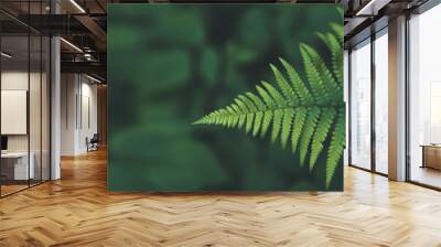 Green fern on a green background of leafs- banner or header with a lot of copyspace for nature, outdoor, adventure Wall mural