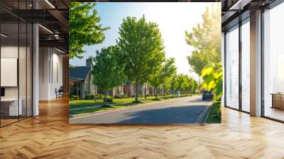 View of modern residential houses neighborhood street in Bentonville, Northwest Arkansas, sunny flare day, fast growing city lifestyle Wall mural