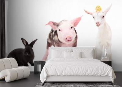 Funny little farm animals standing together isolated on white background Wall mural