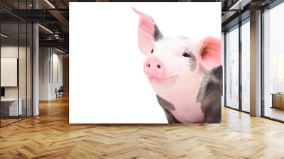 Portrait of a cute cheerful pig, isolated on white background Wall mural