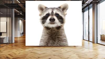 Portrait of a cute funny raccoon isolated on white background Wall mural