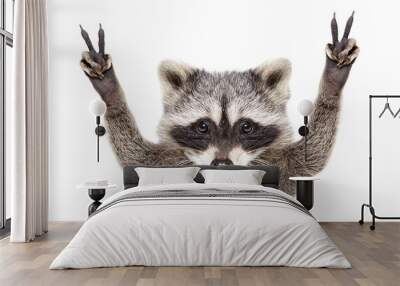 Portrait of a funny raccoon, showing a sign peace, isolated on white background Wall mural