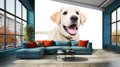 Portrait of adorable curious labrador puppy isolated on white background Wall mural