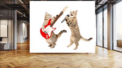 Two cats musician together isolated on a white background
 Wall mural