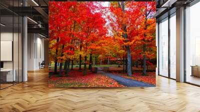 Beautiful fall foliage in the northeast USA Wall mural