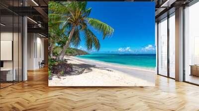 View of nice tropical beach with palm tree. Holiday and vacation concept. Wall mural