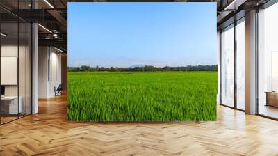 green field and blue sky Wall mural