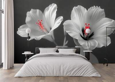   Black & white photo of two white vases w/ red stamens in the interior Wall mural