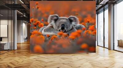   Koala in orange flower field with head down Wall mural