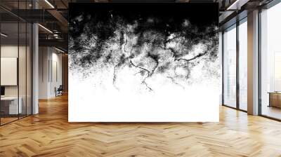 Black and white marble grunge gradient texture Wall mural