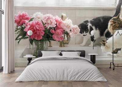 Cute cats and beautiful peonies in sink on background of brass faucet and white counter in new scandinavian house. Pet and pink peony flowers in modern kitchen interior Wall mural