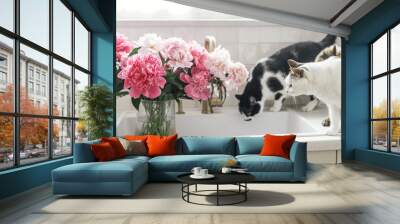 Cute cats and beautiful peonies in sink on background of brass faucet and white counter in new scandinavian house. Pet and pink peony flowers in modern kitchen interior Wall mural