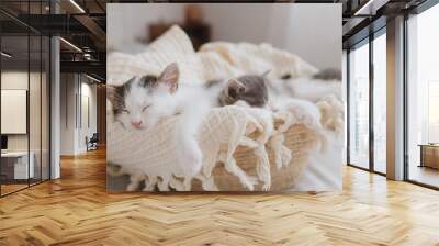 Cute little kittens sleeping on soft blanket in basket. Portrait of adorable sweet kitties napping Wall mural