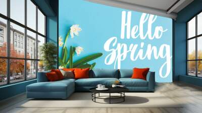 Hello Spring text with first spring flowers on blue background, flat lay. Stylish floral greeting card or poster template. Springtime. Floral  border of Spring snowflake Wall mural