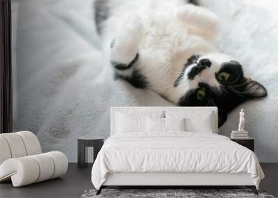 Sweet black and white cat with moustache resting on bed, sleeping in morning. Comfortable and cozy moment. Funny Sleepy cat. Cute kitty adorable sleeping on white bed. Space for text Wall mural