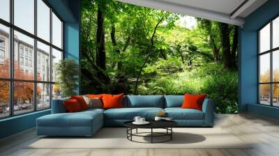 refreshing summer forest in the sunlight Wall mural