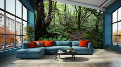 refreshing summer forest with fine pathway Wall mural