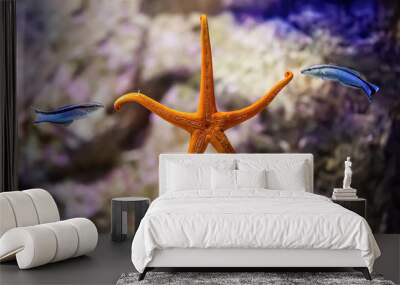 Two fish playing with an orange starfish in the sea Wall mural