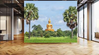 back of big golden buddha statue sitting at thai temple with rice field       Wall mural