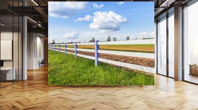 white fence in green farm with blue sky background Wall mural