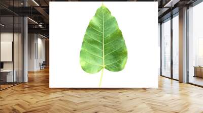 Isolated Bodhi leaf with clipping paths. Wall mural