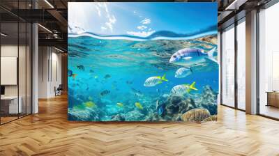 An underwater view from beneath a diverse school of fish in the ocean Wall mural