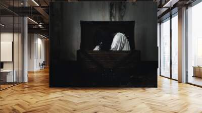 Horror ghost woman. Asian ghost horror creepy scary have hair covering face and eye lying in the old treasure chest, female makeup terror zombie face, murder, Happy Halloween day concept Wall mural