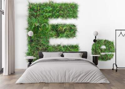 letter e on green grass isolated Wall mural