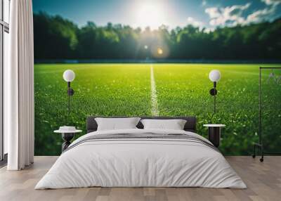 Synthetic Turf Football Field with Soccer Goal, Green Grass, and Goal Net Shadow Wall mural