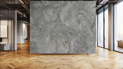 Raw cement concrete wall background,polished concrete texture with shade of gray color of vintage loft style . Wall mural