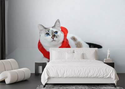 Cute blue-eyed cat in red Christmas hoodie jacket with fur lies on a white background. Free space, isolated Wall mural