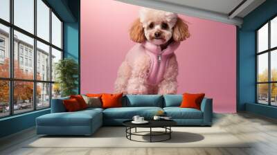 Adorable poodle dressed in pink roller skates and hoodie, posing on a pink background, showcasing cute and playful pet fashion. Wall mural